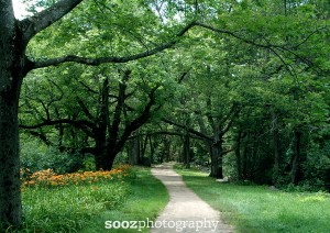 minuteman national park