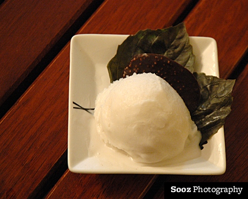 Coconut Rum Sorbet with Dark Chocolate Crisp and Fresh Basil